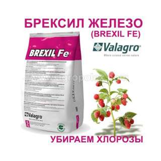 Брексил Fe Valagro 1 кг