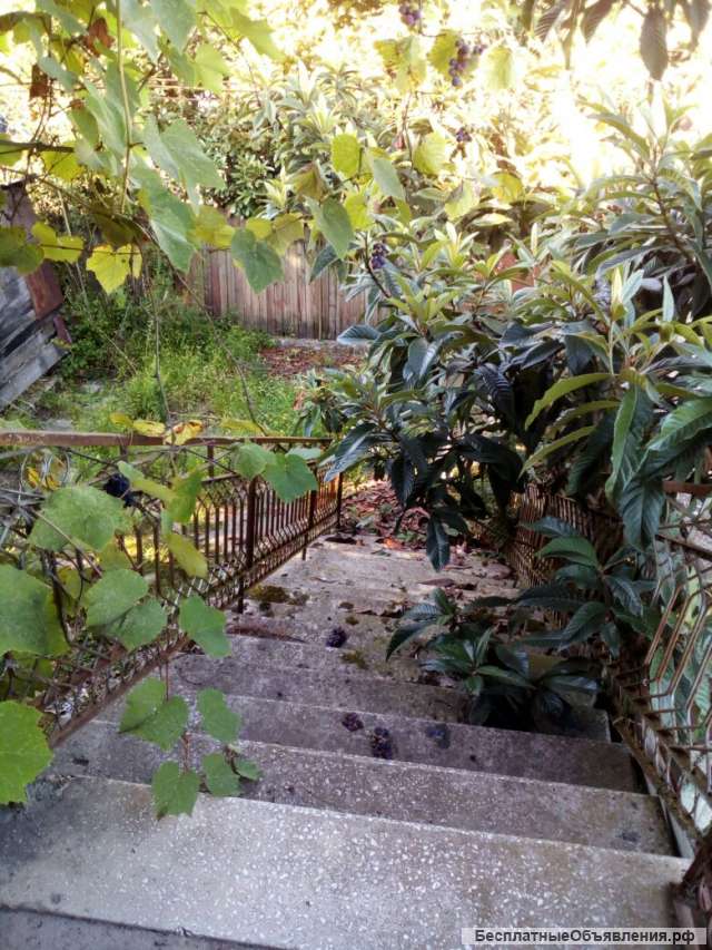 Дом