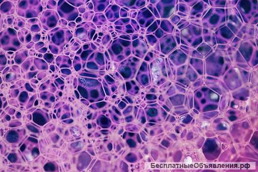 Поверхностно-активные вещества (ПАВ)