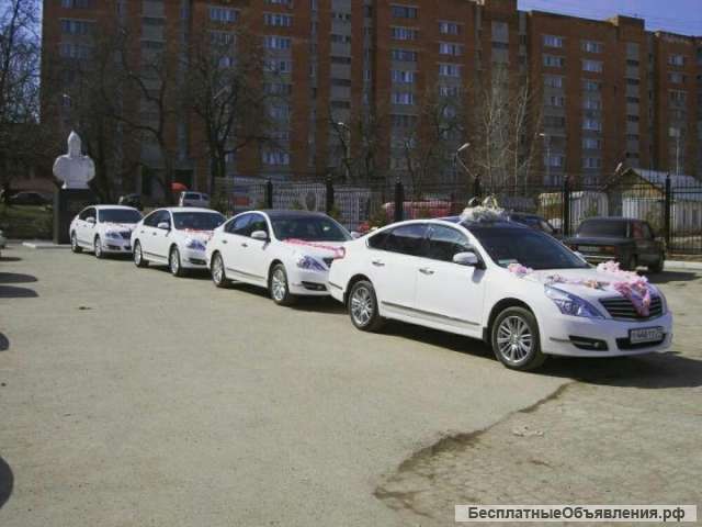 Аренда авто на свадьбу