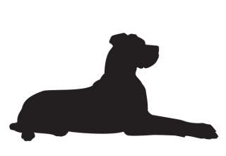 Регистрация ооо и ип