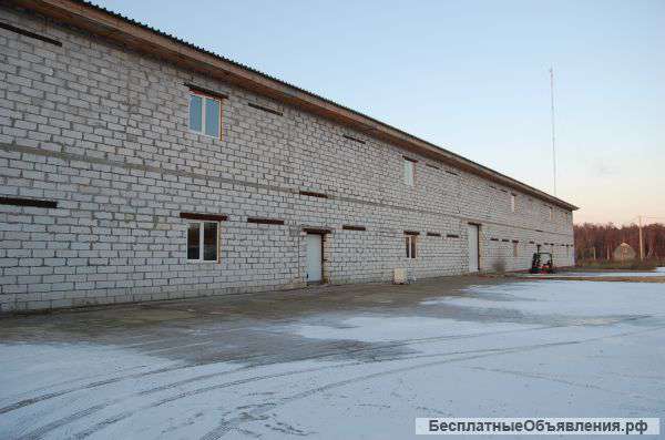 Складское помещение 600 м2