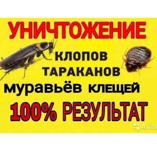 Уничтожение насекомых, дезинфекция