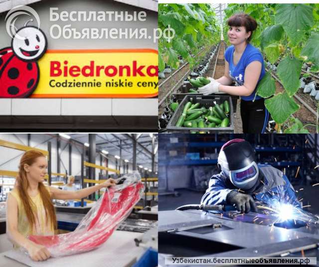 Годовые визы и работа в Польше для граждан Узбекистана