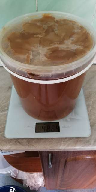 Мед Алтайский