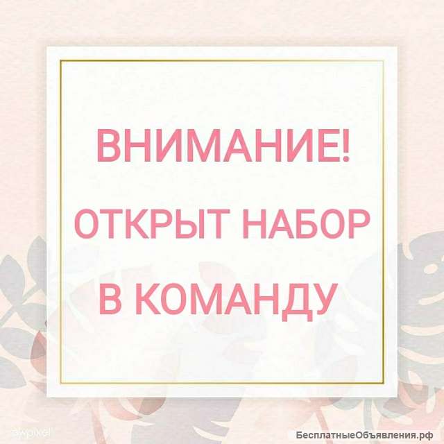 Ищем сотрудников