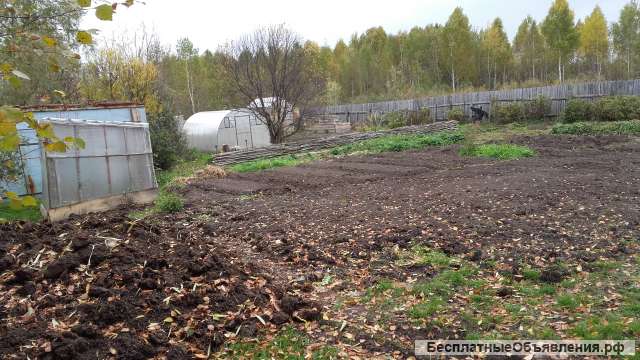 Дачу в кооперативе Виктория-3, земля ухожена есть насаждения, теплицы, вагончик, неподалеку пруд
