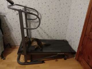 Практически новая механическая беговая дорожка treadmill bt2740