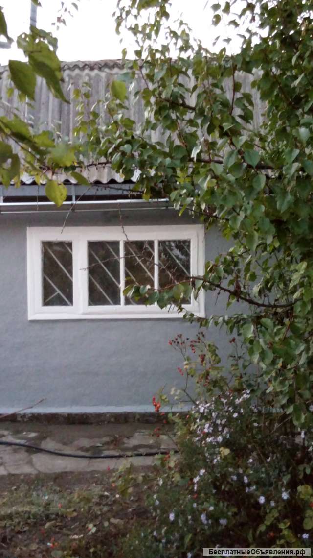 ДАЧА на юге