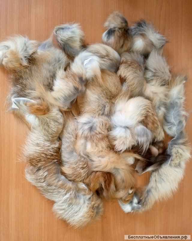 Меховые обрезки. Лиса, песец.