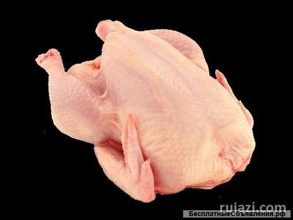 Курица оптом от производителя