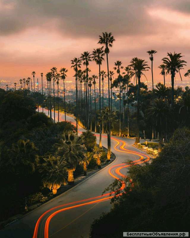 Расчистка участка