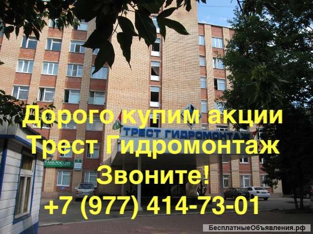 Купим акции АО «Трест Гидромонтаж» дорого