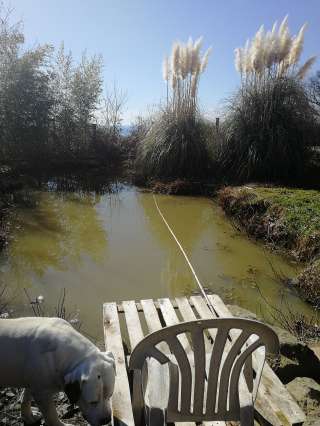 Земля с домиком