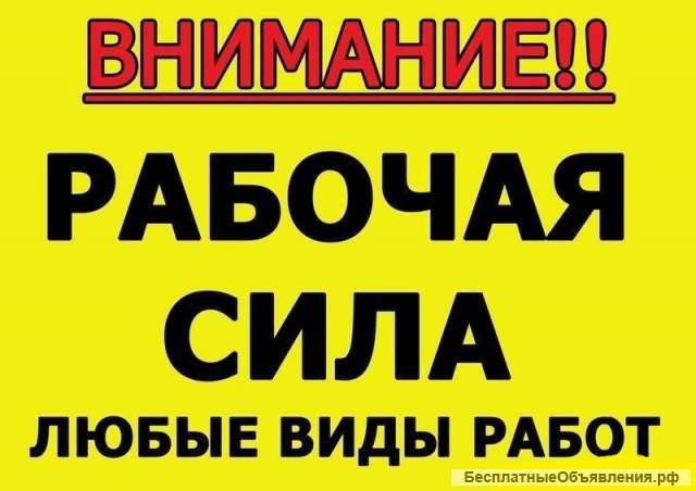 Разнорабочие в Москве и области