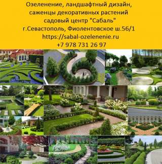 Озеленение участка в Севастополе и Крыму. Купить декоративные саженцы