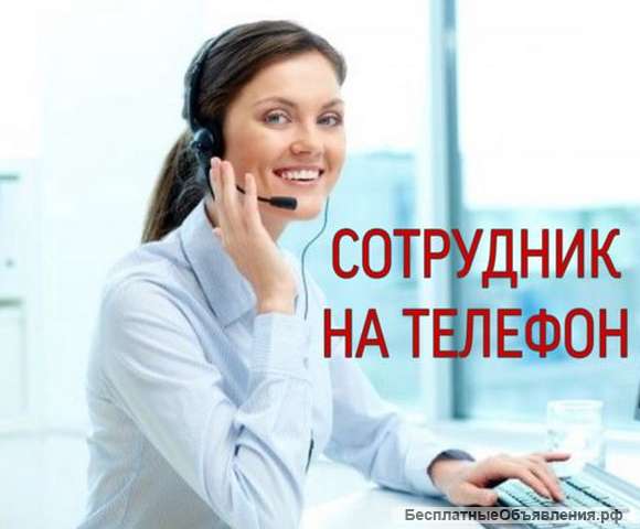 Сотрудник на телефон