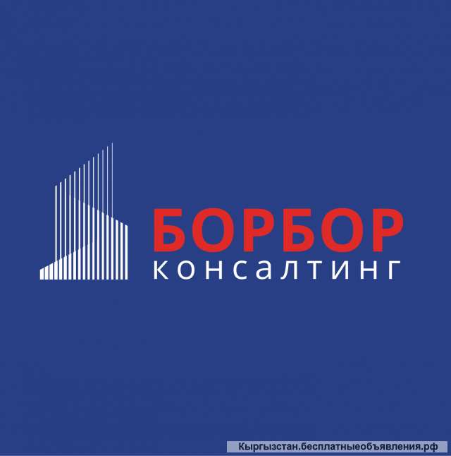 Бизнес План для внешних и внутренних целей | Борбор Консалтинг