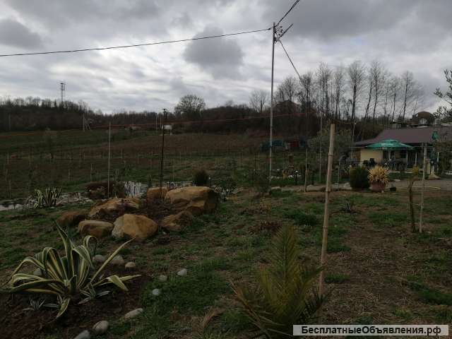 14 га с хозяйством