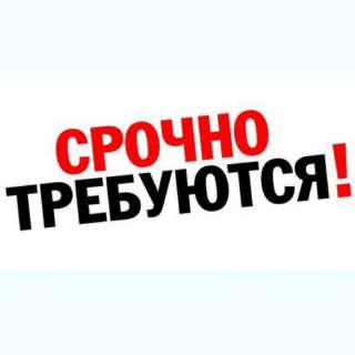 Работа с Ежедневными Выплатами