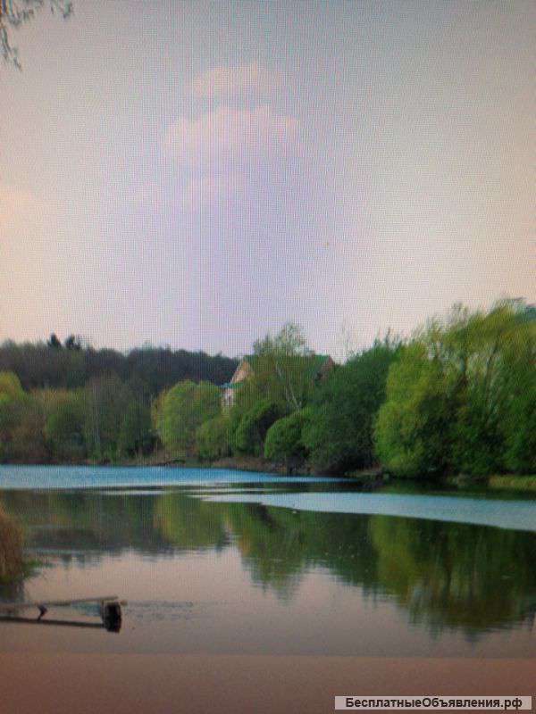 Квартира в Новой Москве