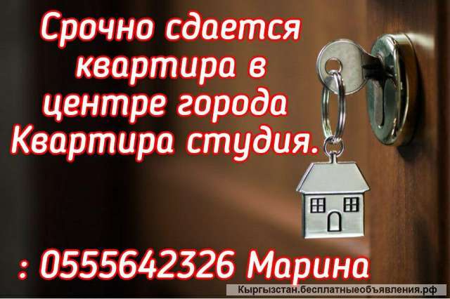 Сдается квартира в центре города Квартира студия