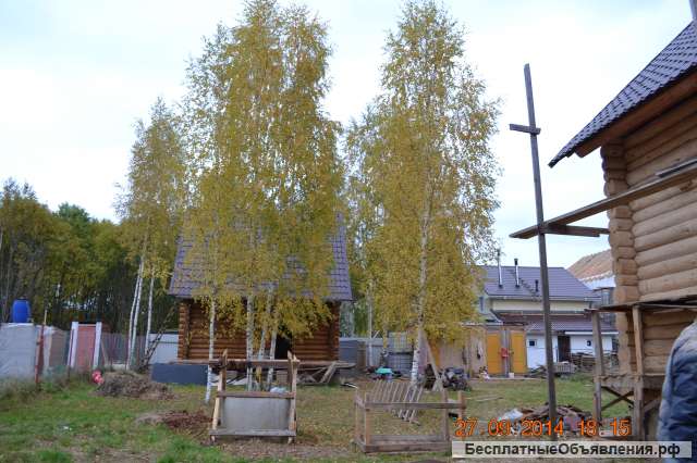 Участок с дачей и баней