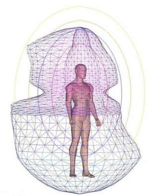 Биолокация и биокоррекционая диагностика