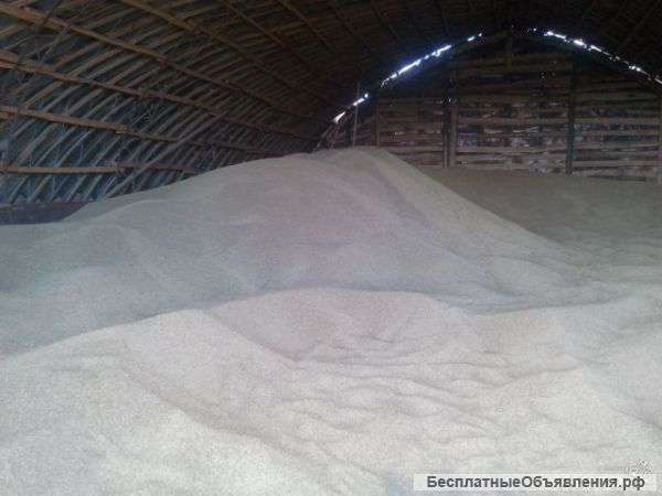Пшеница оптом от производителя