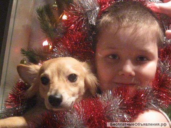 Сниму лично