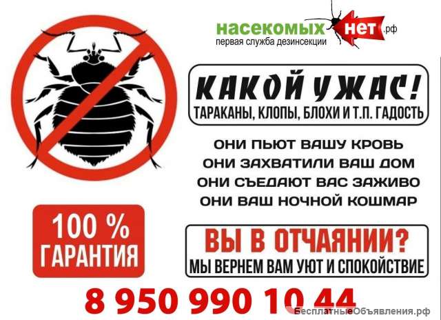 Уничтожение, клопов, тараканов, мурашей