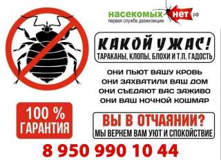 Уничтожение, клопов, тараканов, мурашей