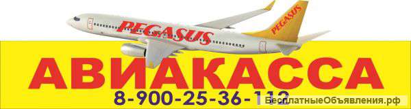 Забронировать авиабилеты Pegasus