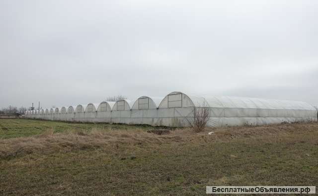 Теплицы по выращиванию клубники