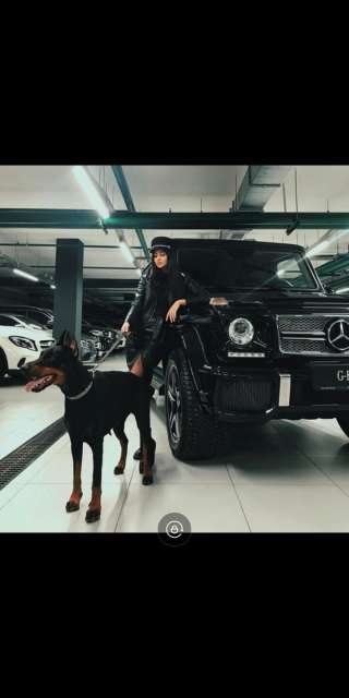 Акция в Автошколе Авто Онлайн