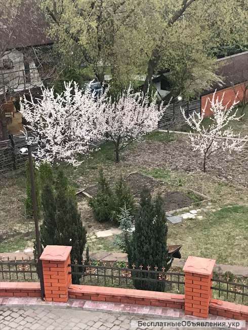 Загородного участка с фруктовым садом