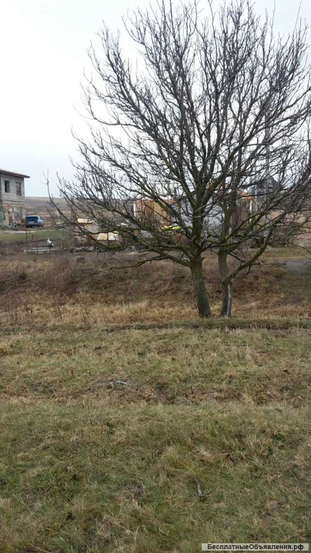 Земельный участок