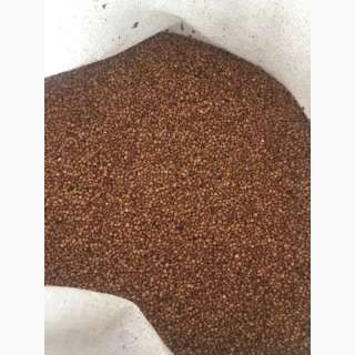 Гречка Высшего Сорта