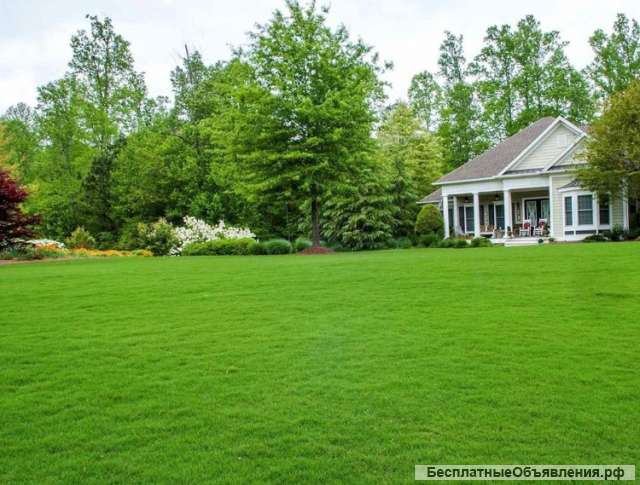 Посев газона. Гидропосев. Рулонный газон