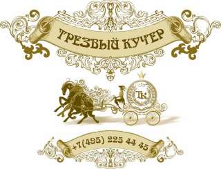 Трезвый Водитель