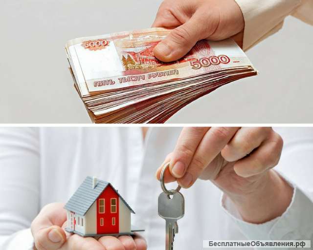 Ищем 3 комн. квартиру от хозяина для покупки.