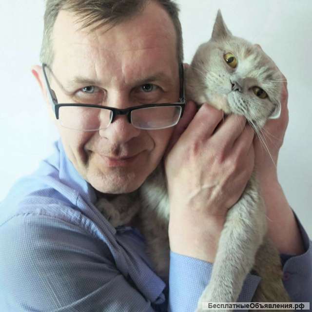 Литовский, немецкий. Переводчик