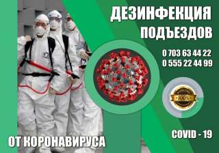 Дезинфекция подъездов