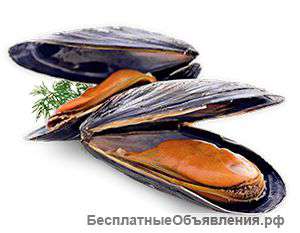 Морские деликатесы. Оптом и в розницу.