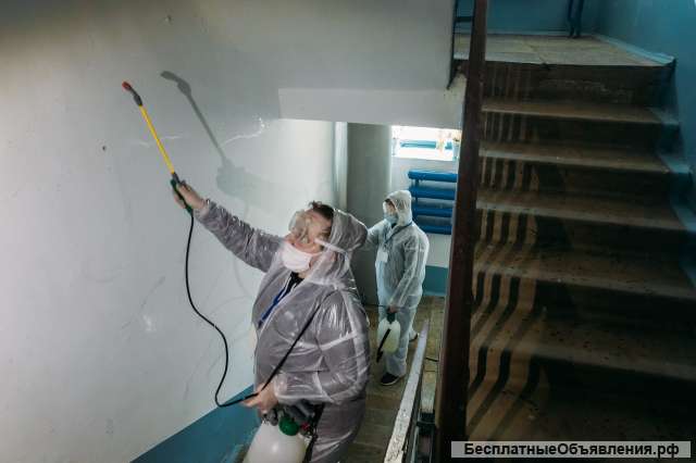Дезинфектор