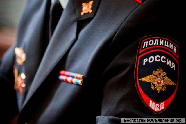 Служба в полиции