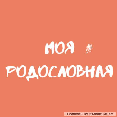 Составление родословной. Генеалогия