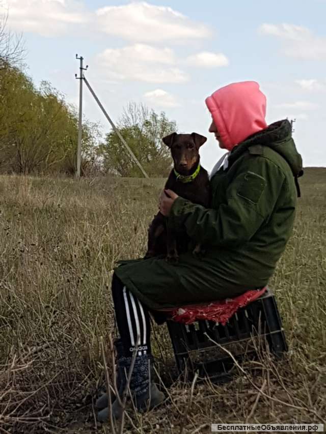 Рыбалка с егерем в Астраханской области