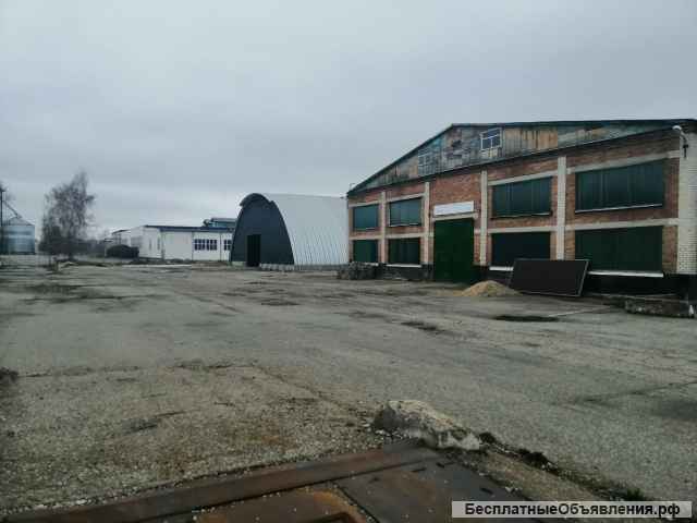 Производственная база – зерновой элеватор