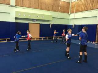 Смешанные единоборства